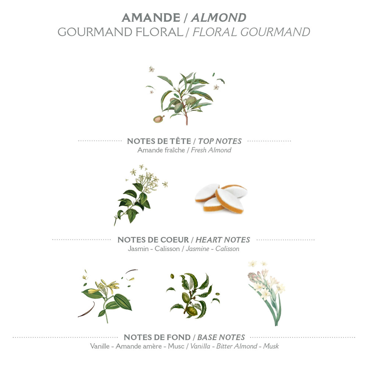 Marseille Liquid Soap 500 Ml | Almond