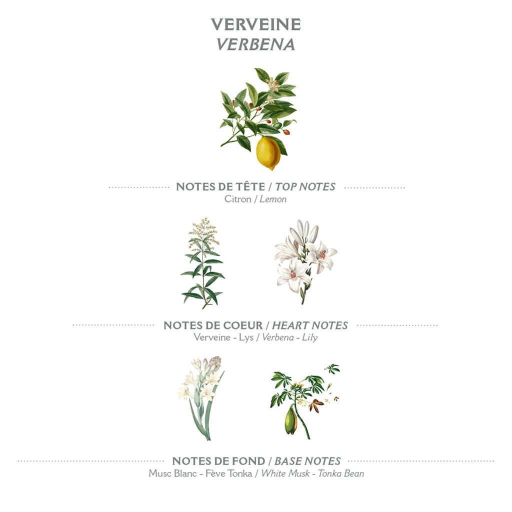 Marseille Liquid Soap 500ml | Verbena
