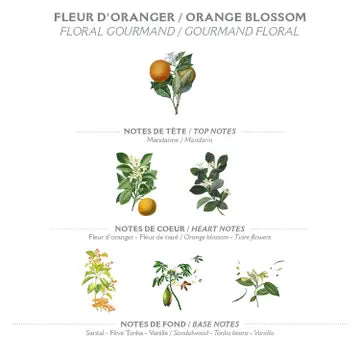 Liquid Marseille Soap 500ml | Orange Blossom